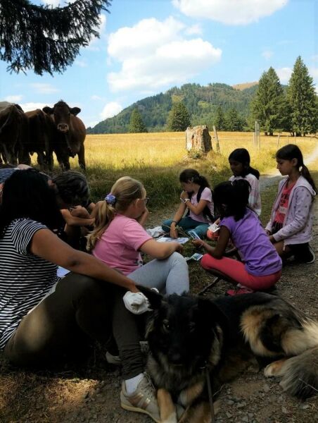 Rätseln, Wandern und Entdecken - eine interaktive Tour für Familien mit Kindern im Grundschulalter
