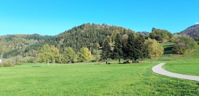 Ein nicht alltäglicher Spaziergang