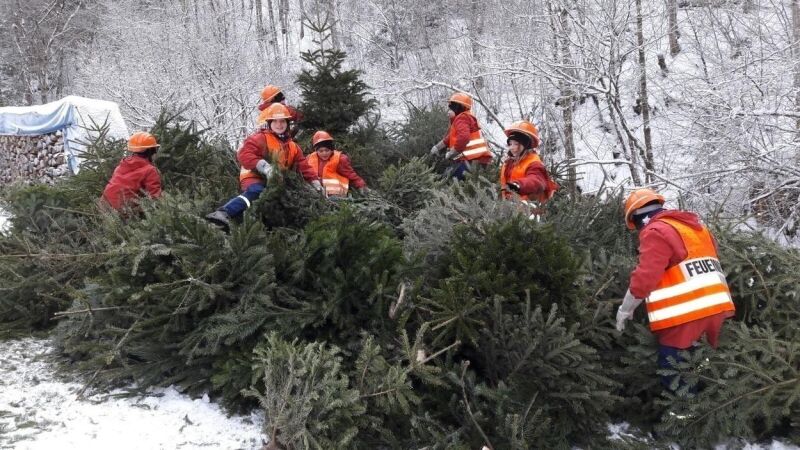 Weihnachtsbaumsammelaktion in Schönau und Tunau