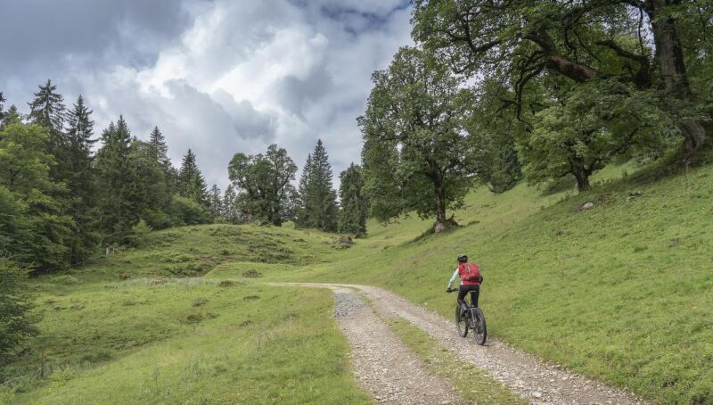 E-Bike Tour zum Hinterwaldkopf, Tour des Schwarzwaldvereins