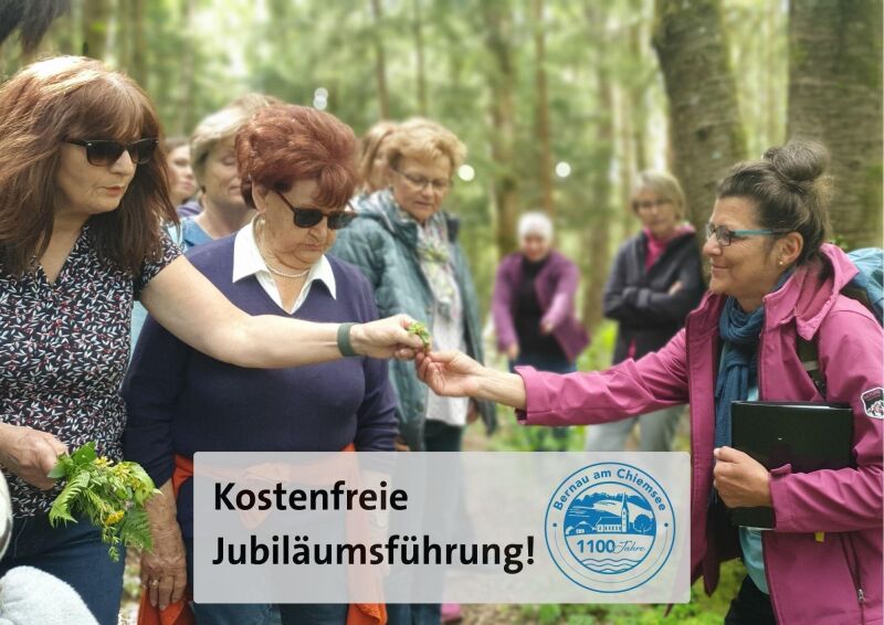 &bdquo;1100 Jahre Kräuterkunde&rdquo; Kräuterspaziergang um Hittenkirchen