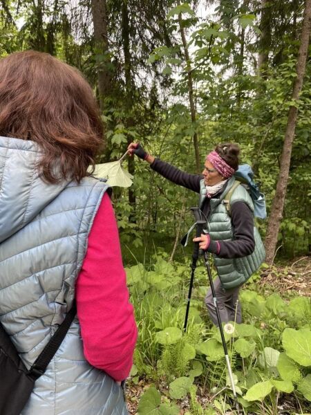 &bdquo;Räucherkräuter im Frauendreißiger&rdquo; - Almkräuterwanderung